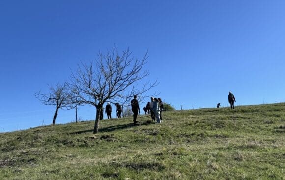 Activity Report – Spring 2026