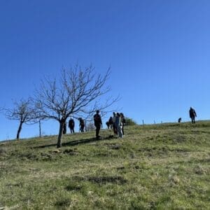 Raport de activități – primăvara 2026