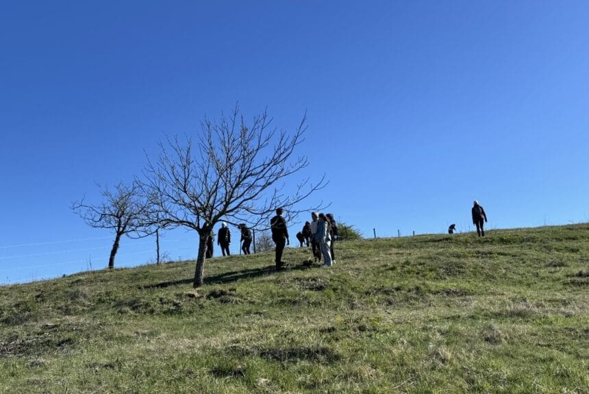 Raport de activități – primăvara 2026 Raport de activități – primăvara 2026